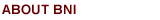 About BNI California Central Valley