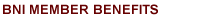 BNI California Central Valley