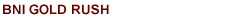 BNI California Central Valley Gold Rush Chapter